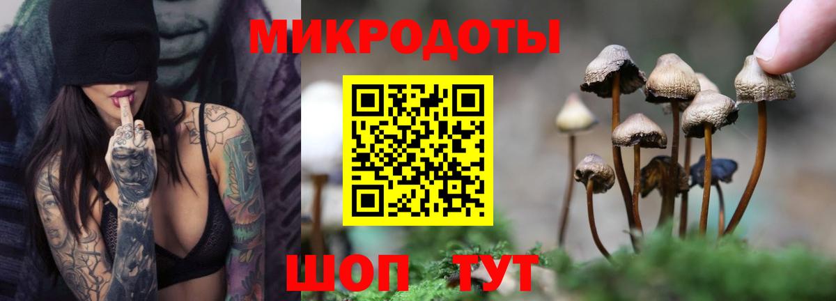 Галлюциногенные грибы мицелий Нижнеудинск