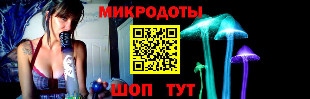Галлюциногенные грибы Psilocybine cubensis  Вход с VPN  Нижнеудинск 