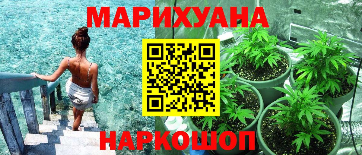 Бошки марихуана конопля Нижнеудинск